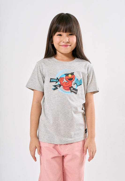 Mossimo Kids Zarry Heather Gray Sesame Street Graphic Tshirt