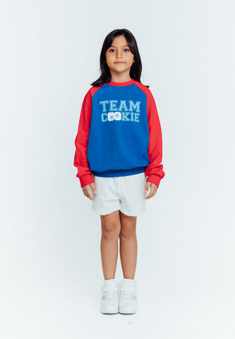 Mossimo Kids Blue Red Sesame Street Raglan Pullover