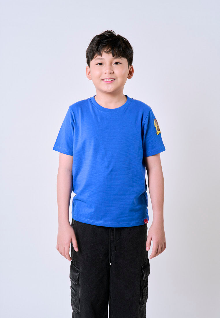 Mossimo Kids Tristan Blue Roundneck Jersey Knits Top For Boys