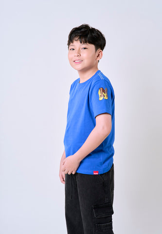 Mossimo Kids Tristan Blue Roundneck Jersey Knits Top For Boys