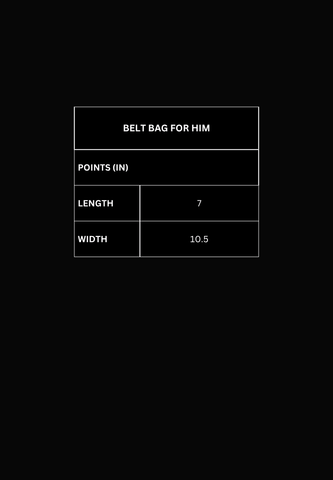 Mossimo Francis Gray Belt Bag