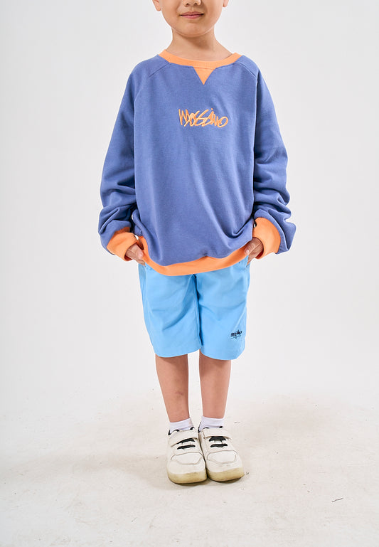 Mossimo Kids Sean Blue Color Blocking Pullover