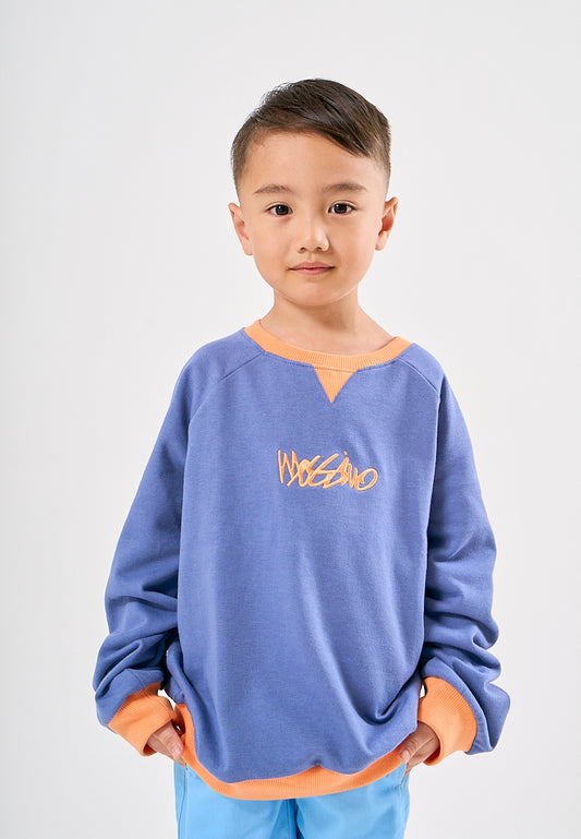 Mossimo Kids Sean Blue Color Blocking Pullover