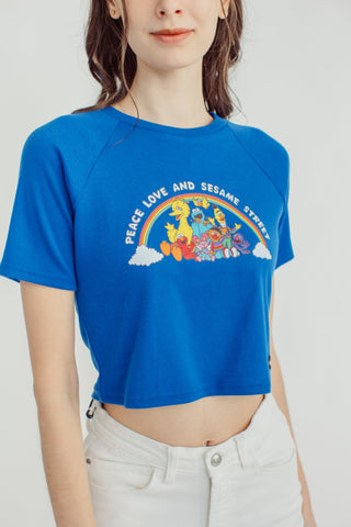 Daphne Sesame Street Group on Short Sleeves - Mossimo PH