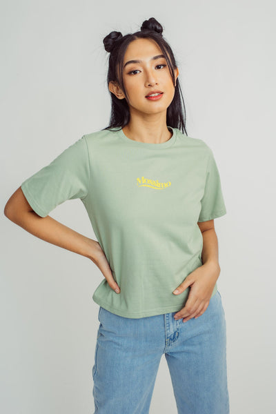 Desser Sage Mossimo Gradient Butterfly Back with Flat Gardient Print Boxy Fit Tee - Mossimo PH
