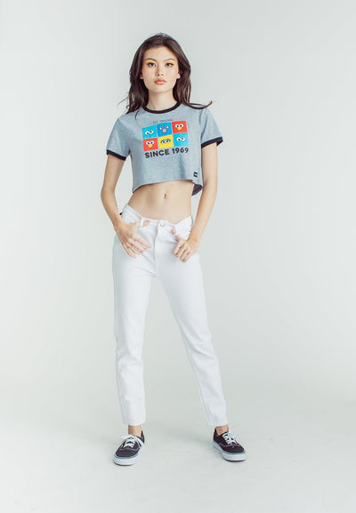 Heather gray Premium with Sesame Street Group Boxed Eyes Soft Touch Print Vintage Cropped Fit Tee - Mossimo PH