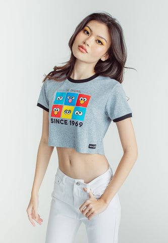 Heather gray Premium with Sesame Street Group Boxed Eyes Soft Touch Print Vintage Cropped Fit Tee - Mossimo PH