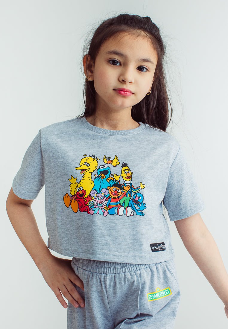 Heather Gray Sesame Street Cropped Top and Wide Pants Set - Mossimo PH
