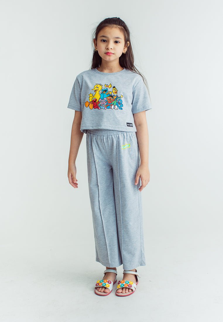 Heather Gray Sesame Street Cropped Top and Wide Pants Set - Mossimo PH