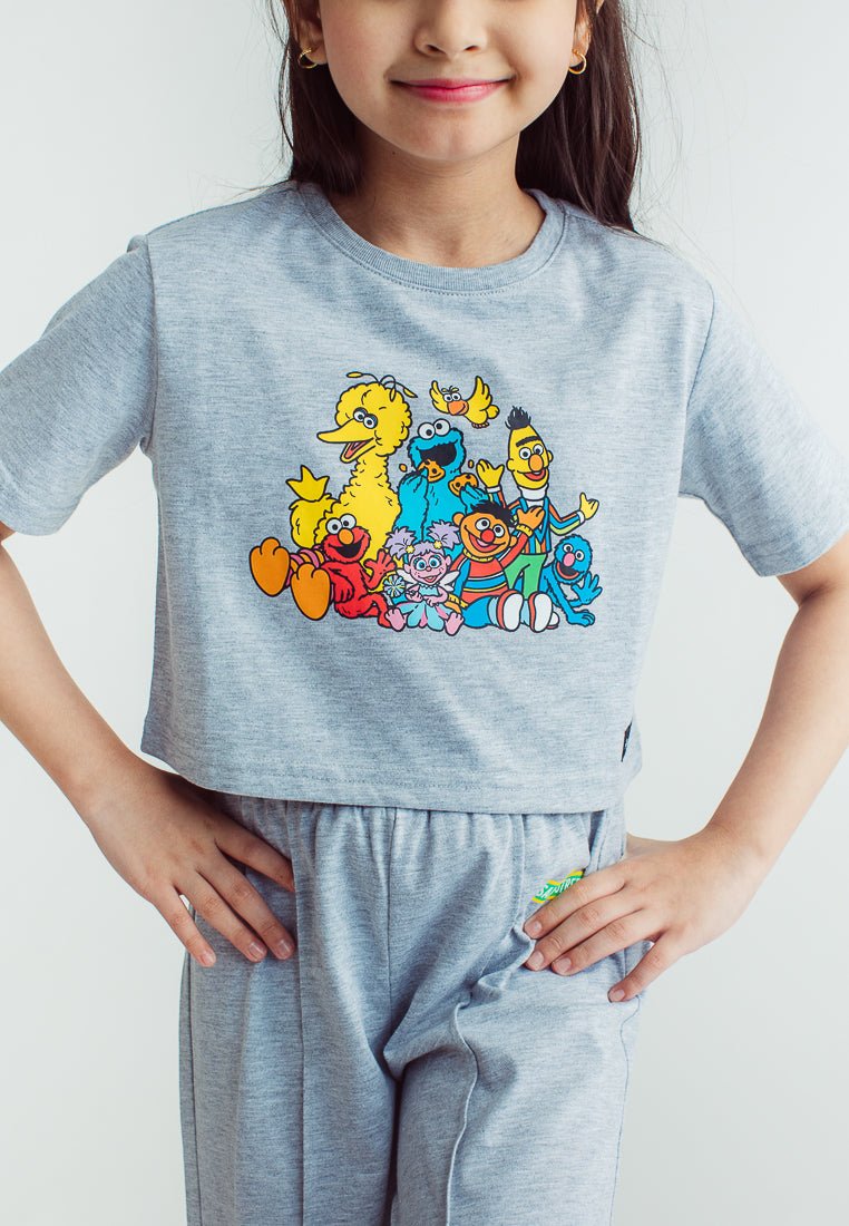 Heather Gray Sesame Street Cropped Top and Wide Pants Set - Mossimo PH
