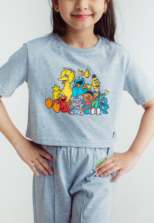 Heather Gray Sesame Street Cropped Top and Wide Pants Set - Mossimo PH
