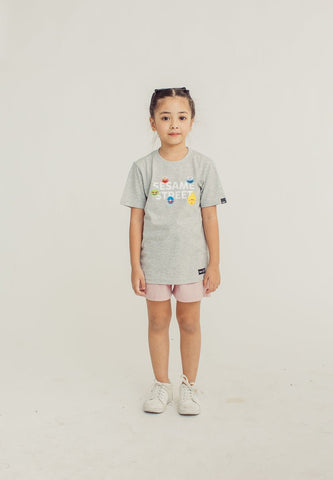 Heather Gray Sesame Street with Embroidery Kids Basic Tshirt - Mossimo PH