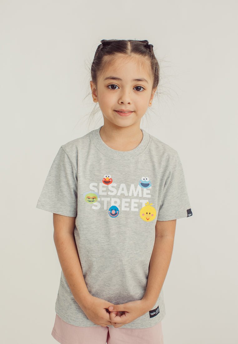 Heather Gray Sesame Street with Embroidery Kids Basic Tshirt - Mossimo PH