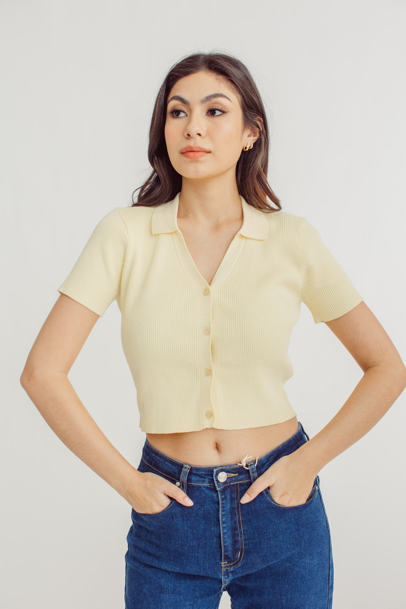 Kate Fashion Knit Crop Top with Collar - Mossimo PH