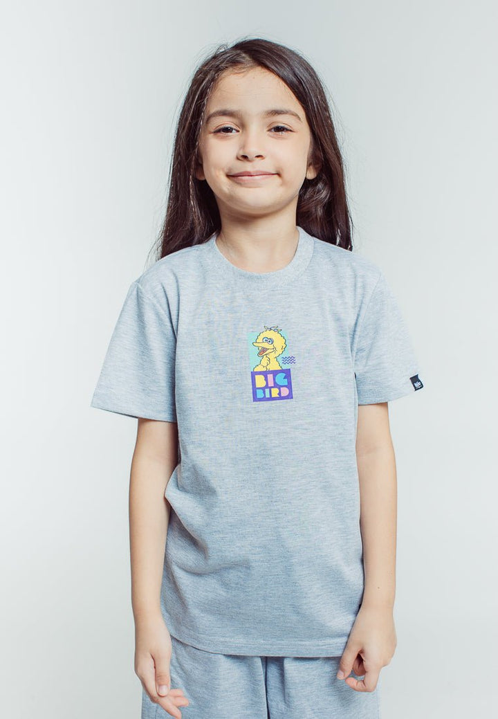 Mossimo Kids Heather Gray Sesame Street Shirt and Short Set - Mossimo PH