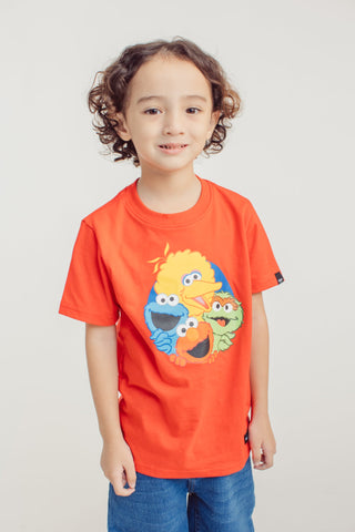 Red Sesame Street Unisex Basic Tshirt Kids - Mossimo PH