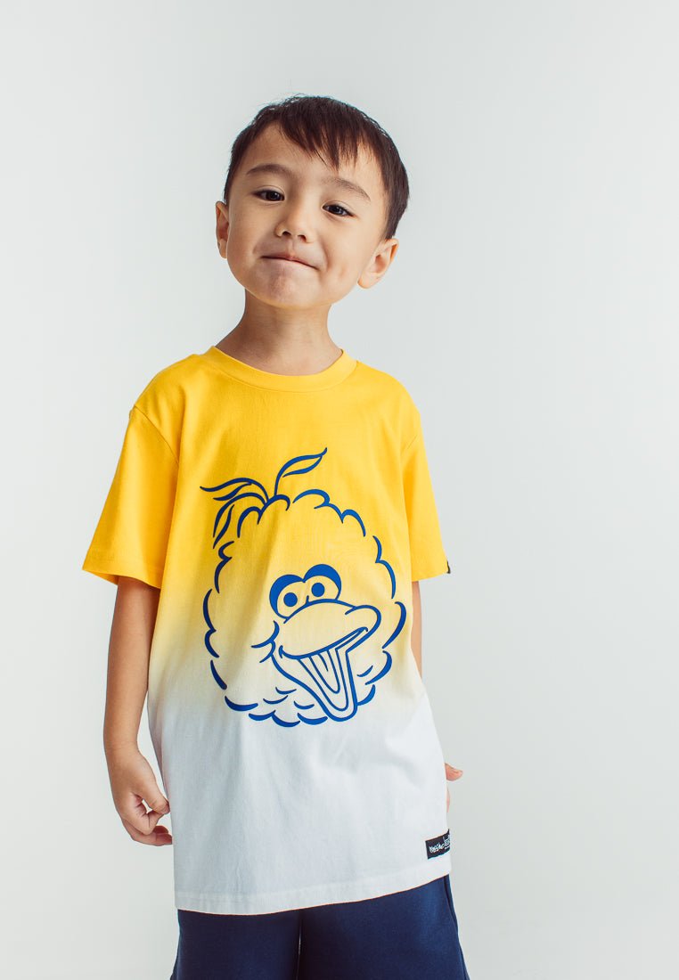 Yellow Sesame Street Big Bird Tshirt and Short Set Kids - Mossimo PH