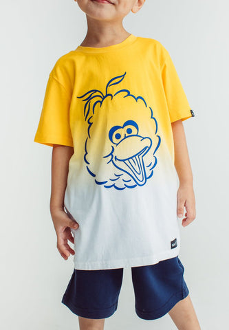 Yellow Sesame Street Big Bird Tshirt and Short Set Kids - Mossimo PH