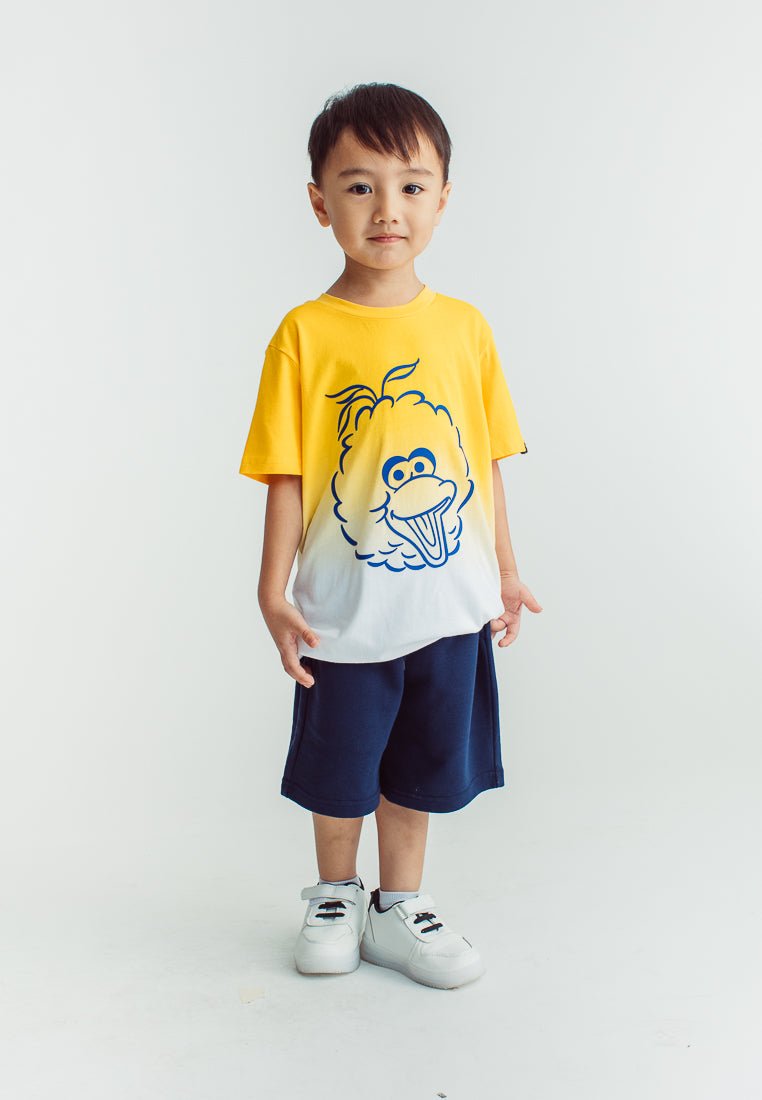 Yellow Sesame Street Big Bird Tshirt and Short Set Kids - Mossimo PH