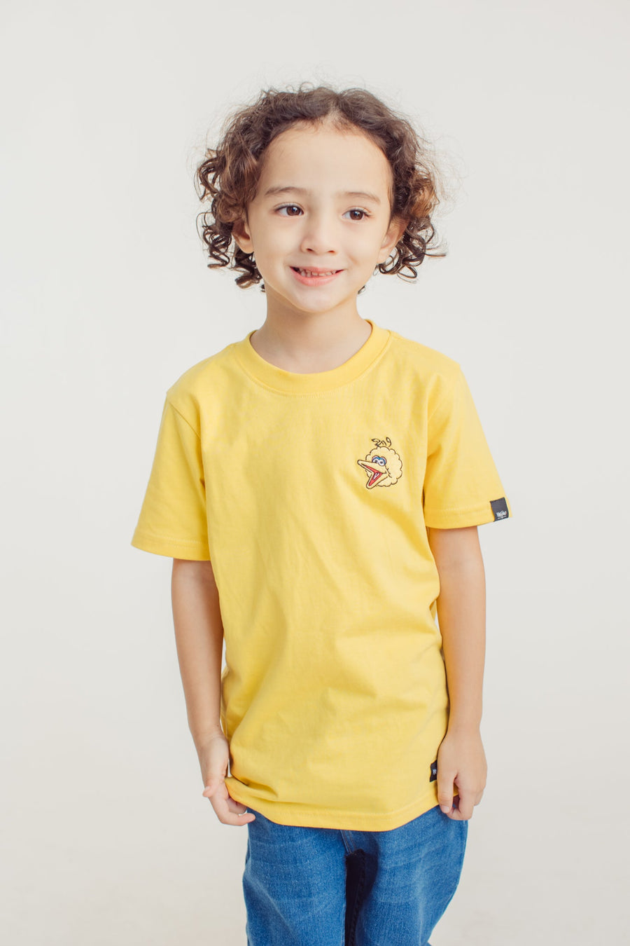 Yellow with Big Bird Embroidery Kids Tees - Mossimo PH